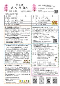 さくら並木